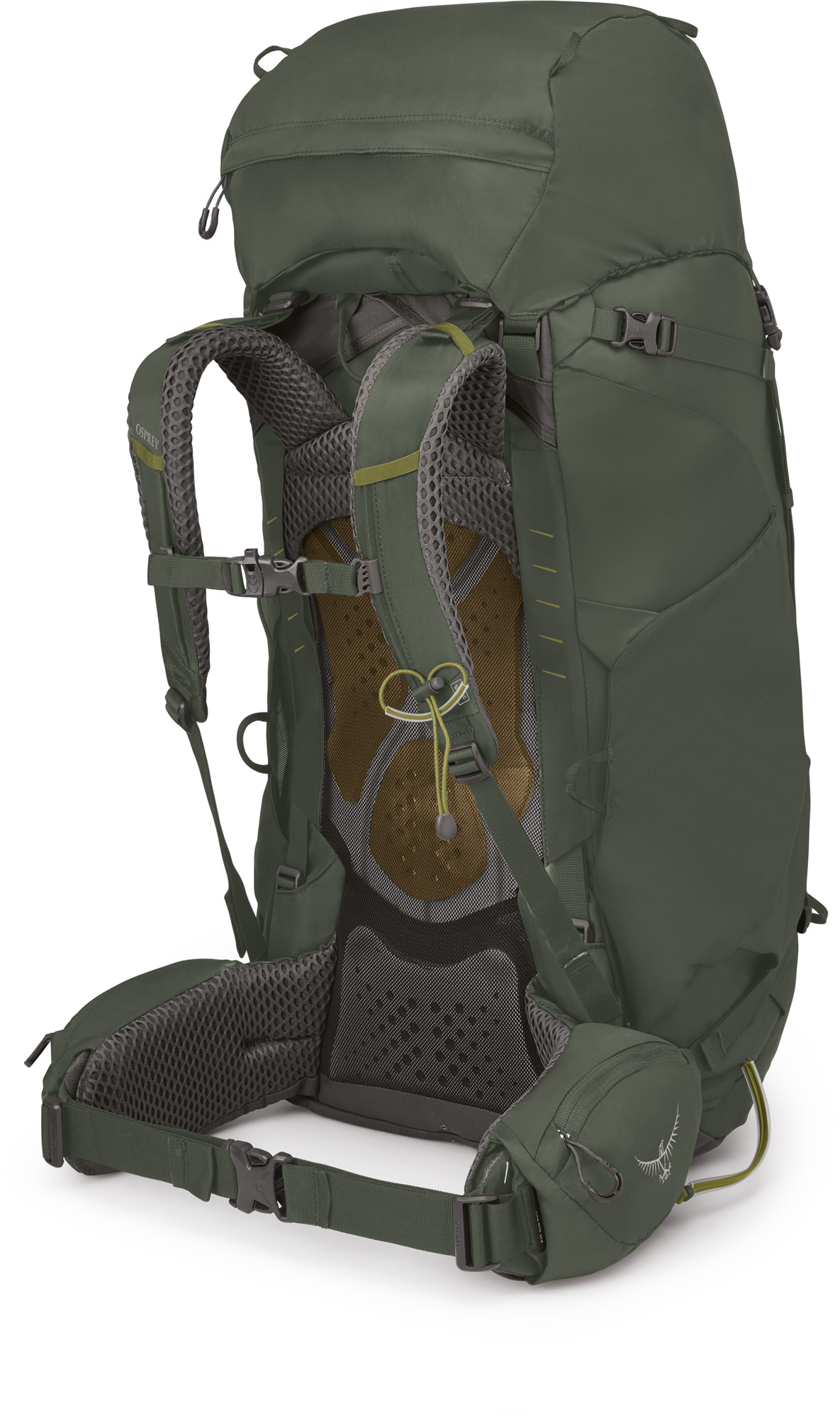 Osprey Kestrel 68 - Bonsai green