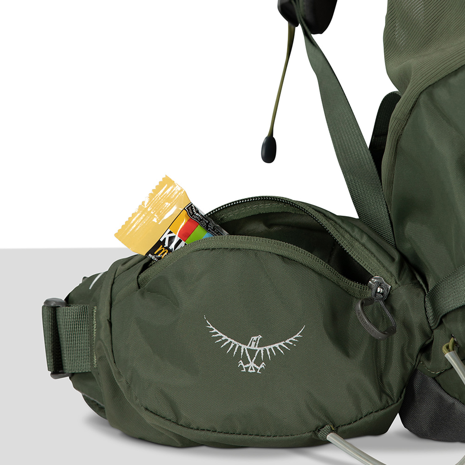 Osprey Kestrel 58 - Bonsai green