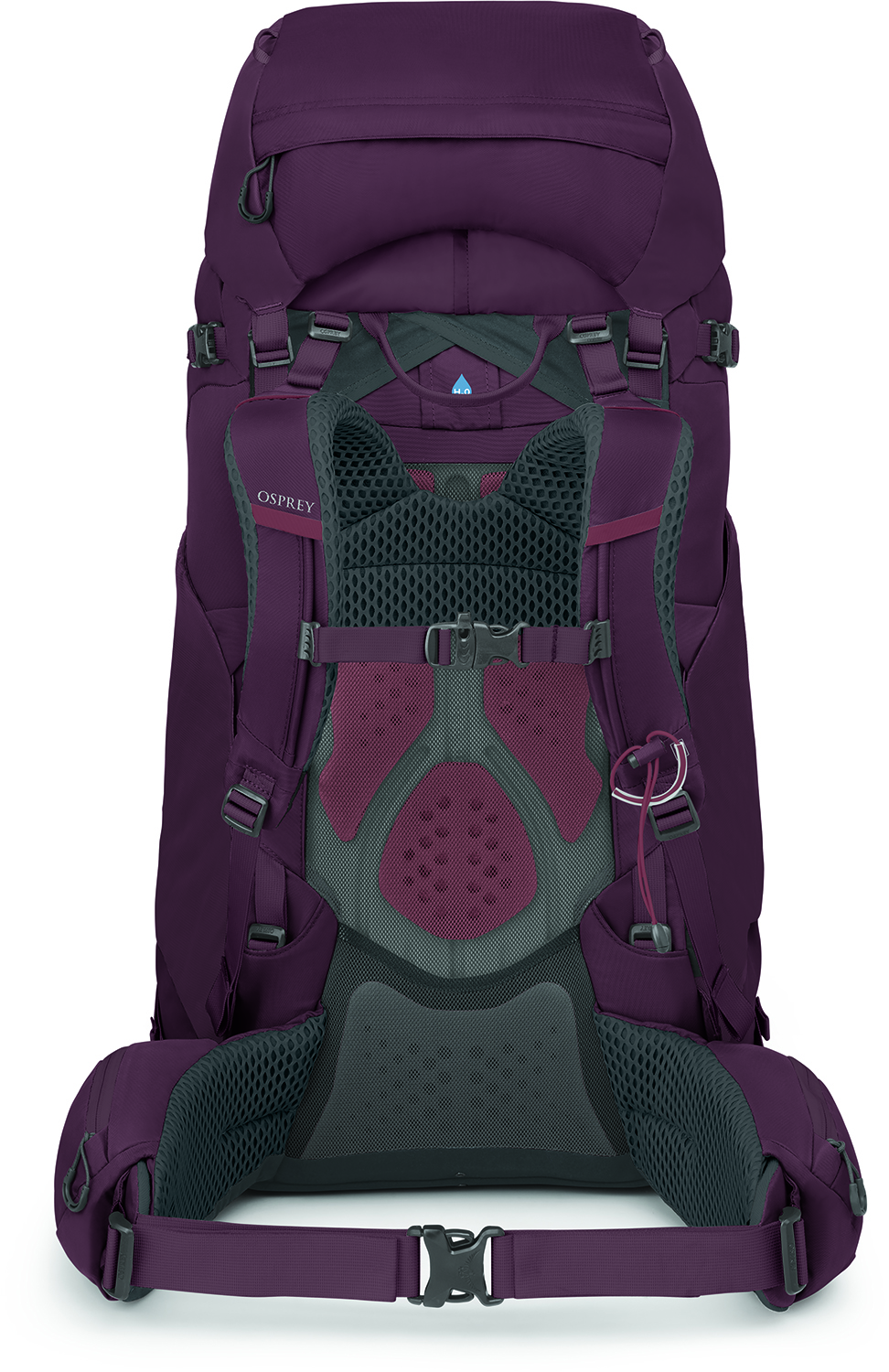 Osprey Kyte 68 - Elderberry Purple