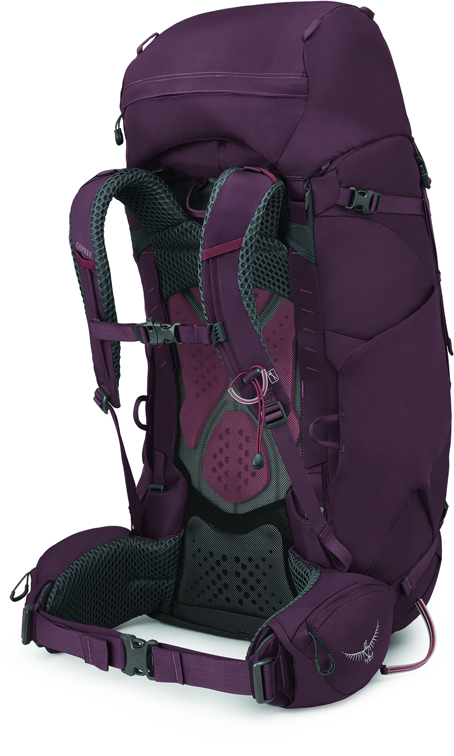 Osprey Kyte 68 - Elderberry Purple