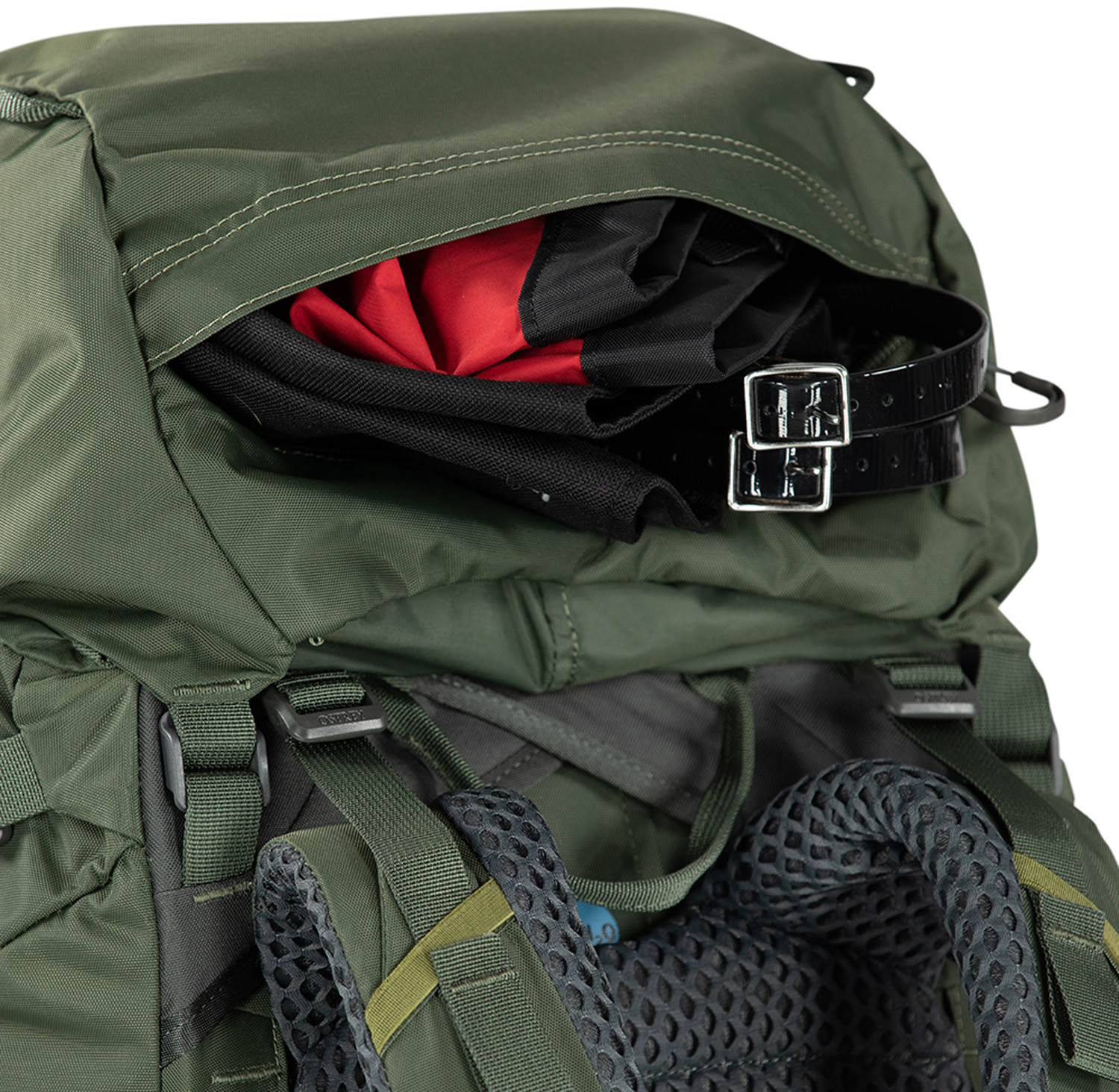 Osprey Kestrel 58 - Bonsai green