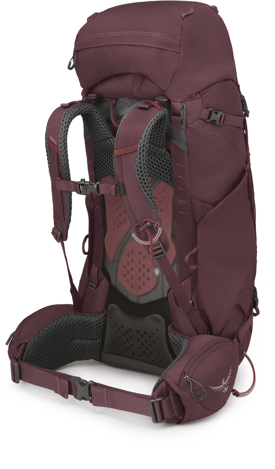 Osprey Kyte 58 - Elderberry Purple