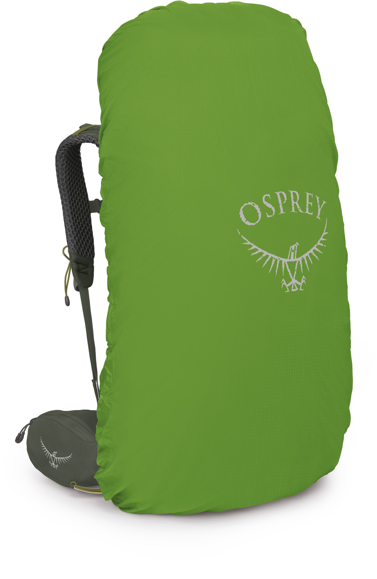 Osprey Kestrel 68 - Bonsai green