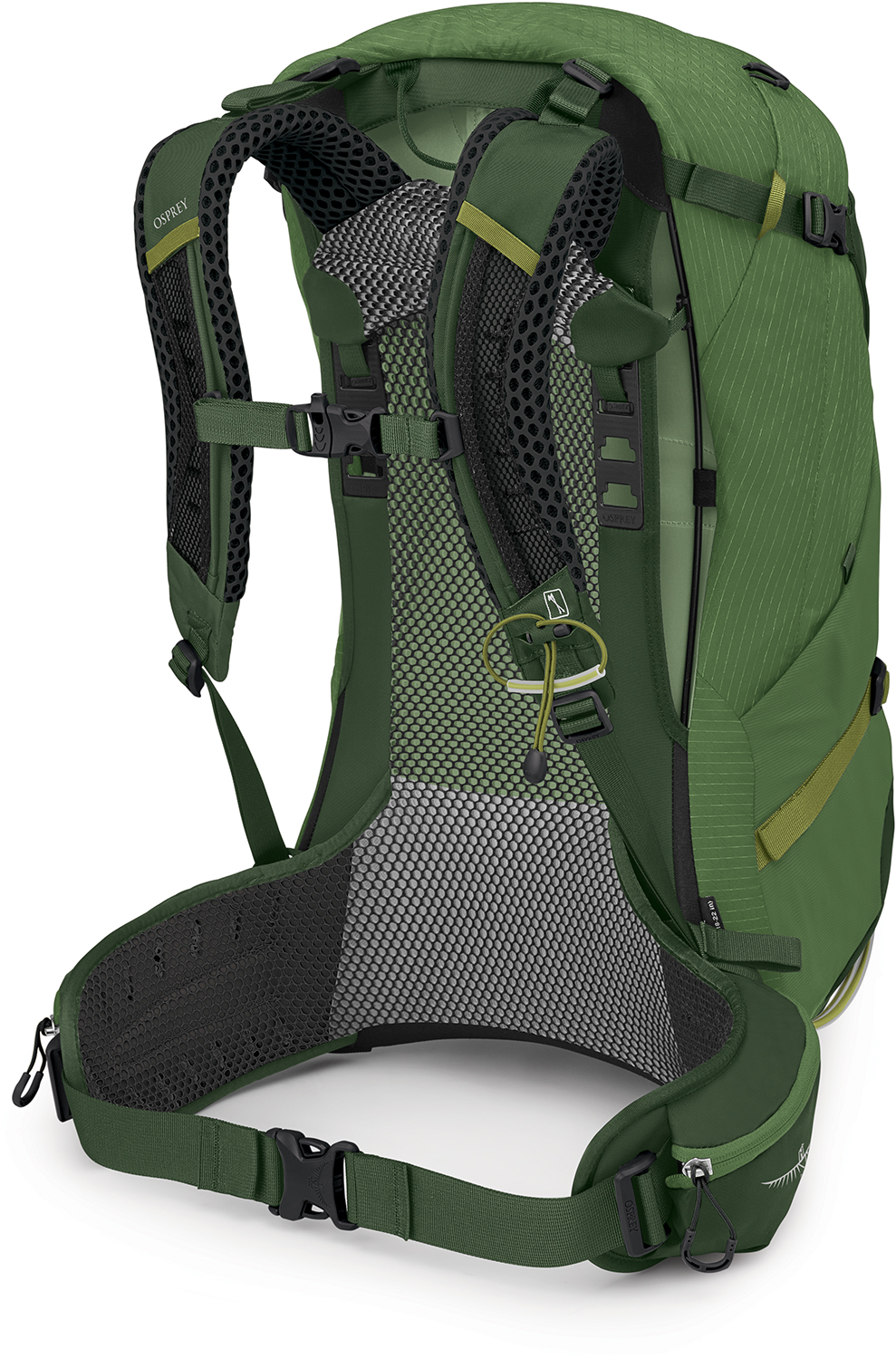 Osprey Stratos 34 - Seaweed/Matcha