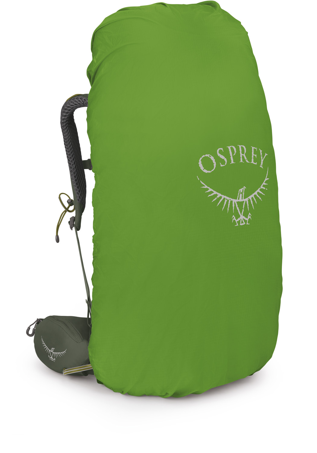 Osprey Kestrel 58 - Bonsai green